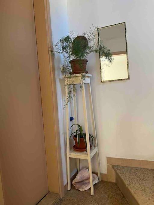Vintage Pula Apartment Екстериор снимка